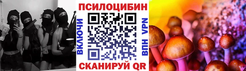 купить наркотики сайты  Печоры  Псилоцибиновые грибы MAGIC MUSHROOMS 